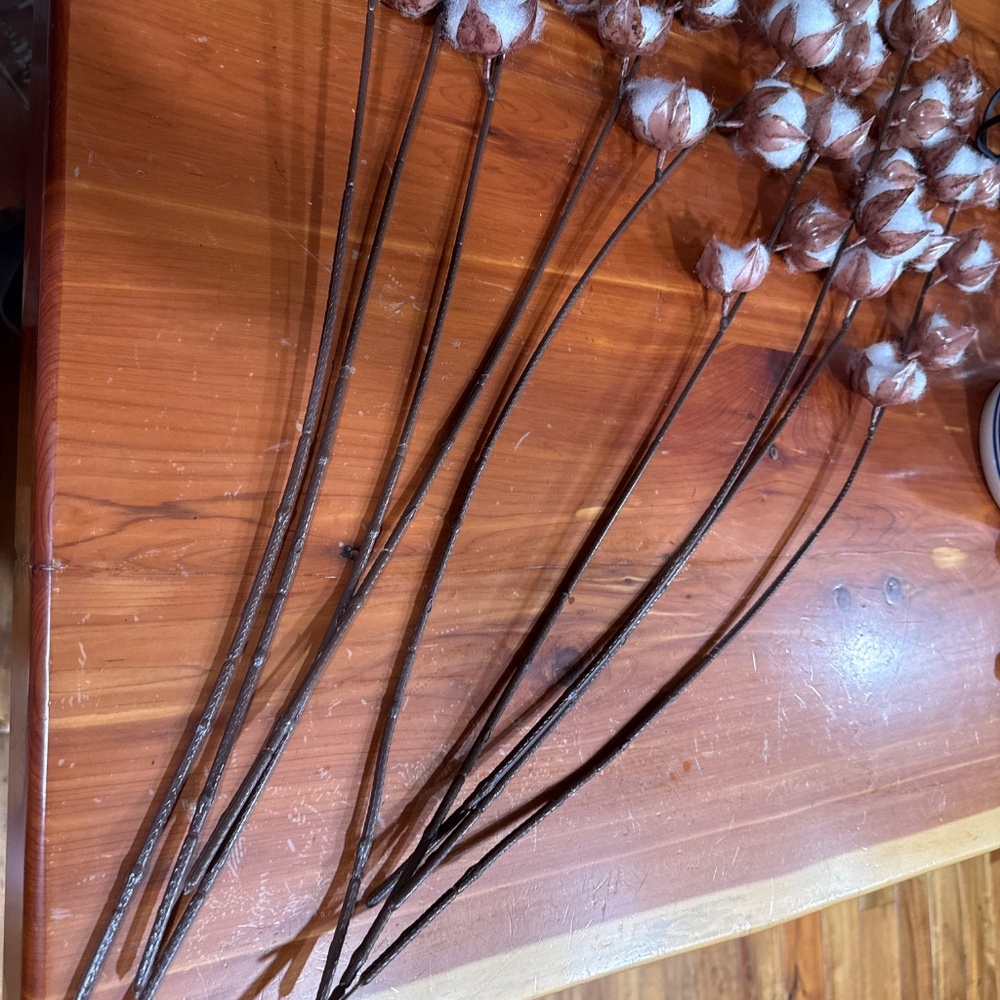 Cotton pick stems lot of 8 - Picture 2 of 3